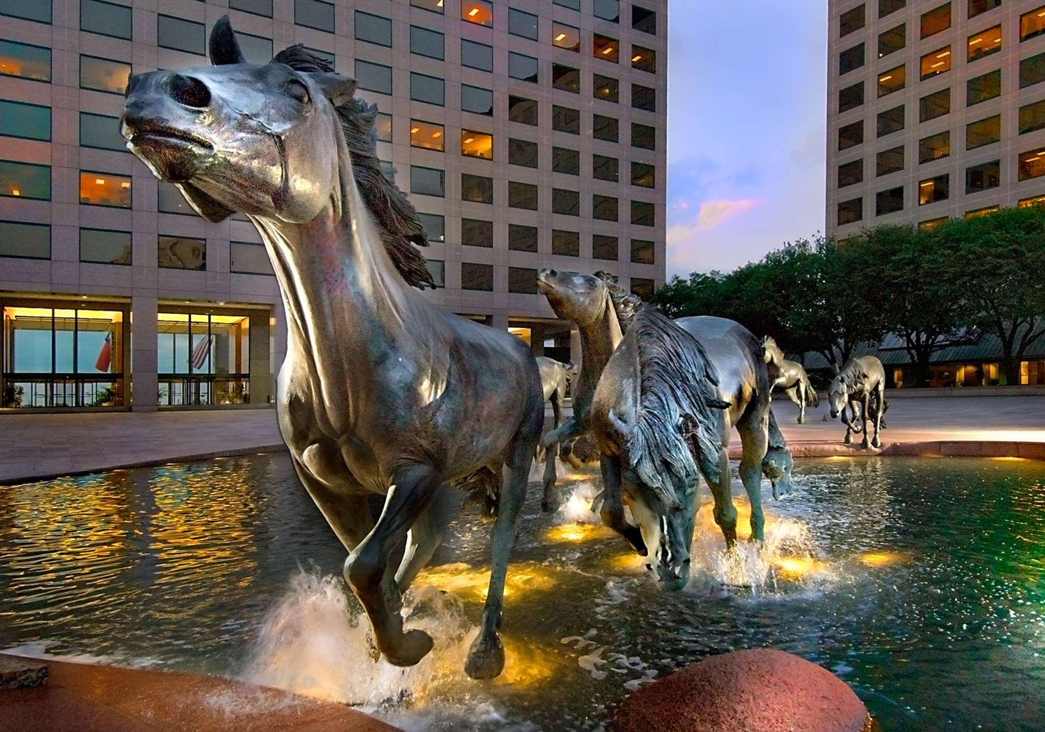 Hilton Garden Inn Dfw Airport South Irving Luaran gambar